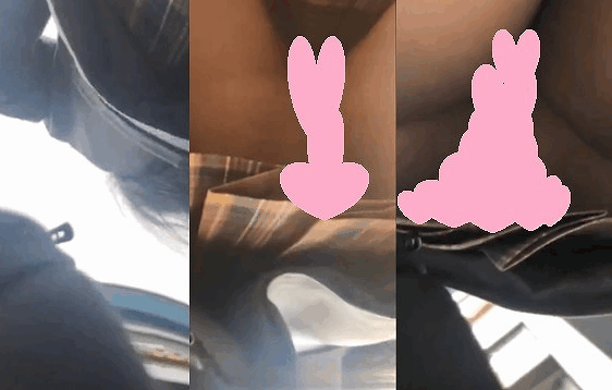 sample_pantu178_7