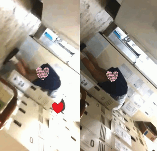 sample_pantu65_2